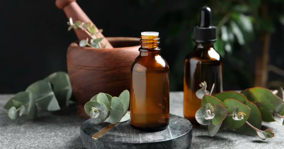 How Eucalyptus Oil Kills Dust Mites and Supports Asthma Relief - Rosewood Eucalyptus Oil