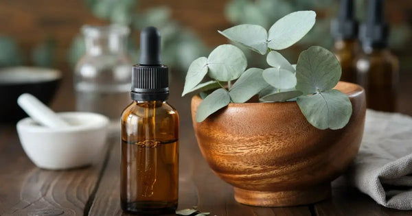 Why You Should Use Eucalyptus Oil For Natural Healing - Rosewood Eucalyptus Oil